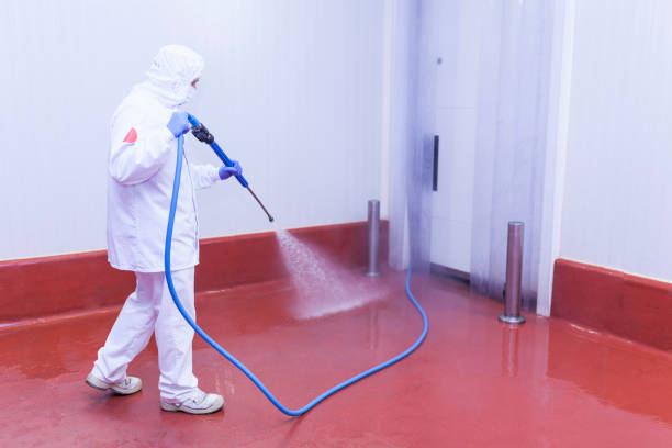 Best Sidewalk and Walkway Cleaning  in Stem, NC